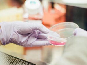 Scopri di più sull'articolo Guanti in lattice: sono biodegradabili oppure no?
